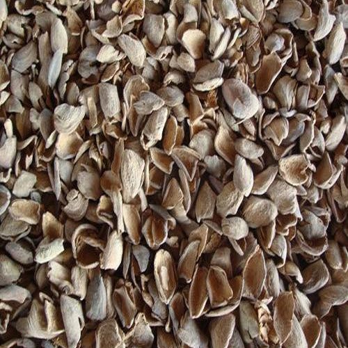 Groundnut Shells